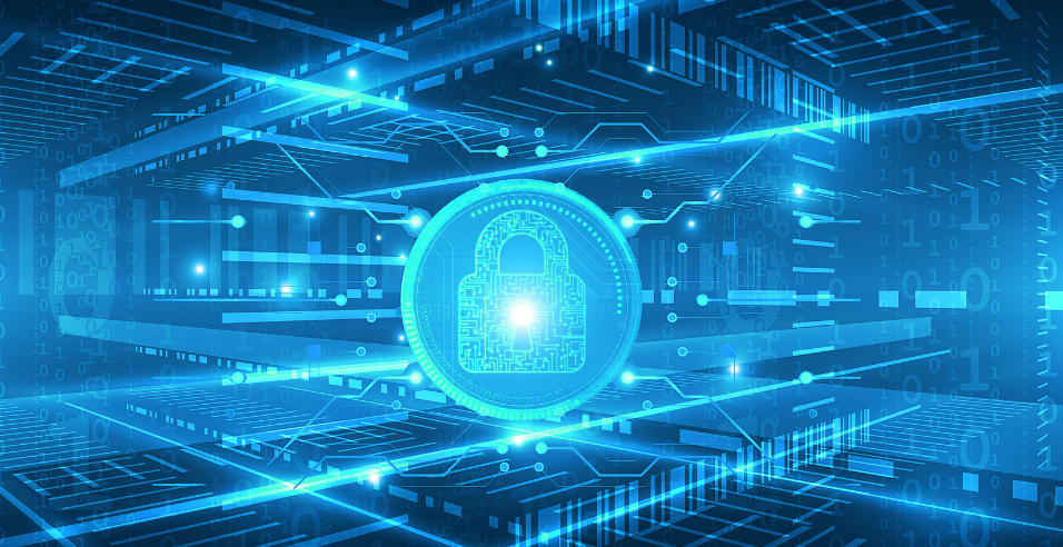 2024年11月5日 第76頁