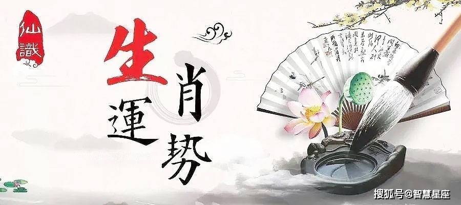 揭秘提升2024一碼肖,確保成語(yǔ)解釋落實(shí)的問(wèn)題_SHD15.162