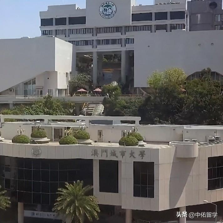 2024澳門天天開好彩大全65期,穩(wěn)定評估計(jì)劃_潮流版78.259