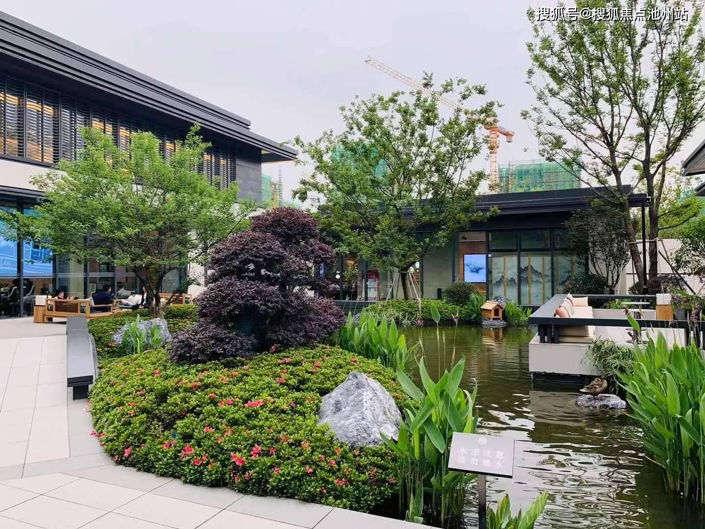 四不像今晚必中一肖,全面說明解析_儲(chǔ)蓄版27.296