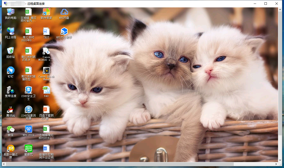 探索貓的世界，最新貓咪棲息地幸福之旅