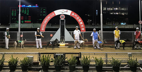 老澳門開(kāi)獎(jiǎng)結(jié)果2024開(kāi)獎(jiǎng),高效方案實(shí)施設(shè)計(jì)_安卓款23.661