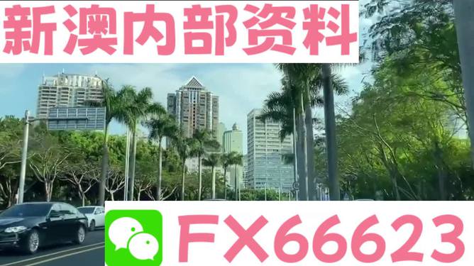 新澳精準(zhǔn)資料免費(fèi)提供網(wǎng)站,數(shù)據(jù)決策執(zhí)行_安卓版52.633