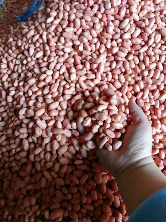 花生米最新價格行情解析