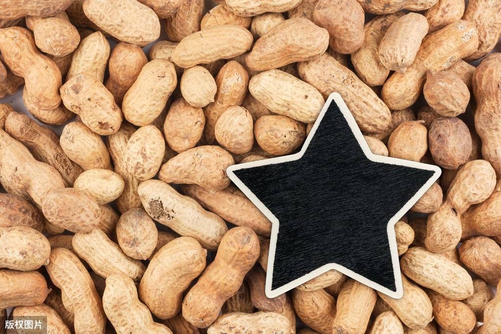 花生米最新價格行情解析