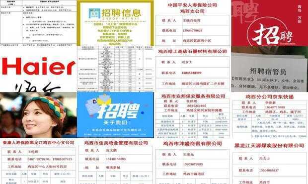 萊西信息港最新招聘信息全面解析