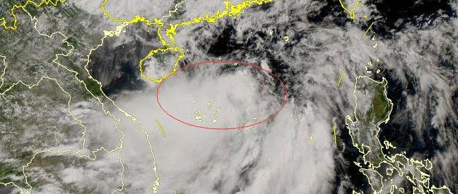 番禺臺風最新動態(tài)，全方位應對措施保障安全